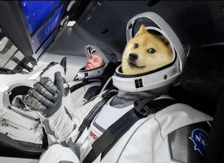 SpaceX to Launch DOGE1 to the Moon! Live Trading News