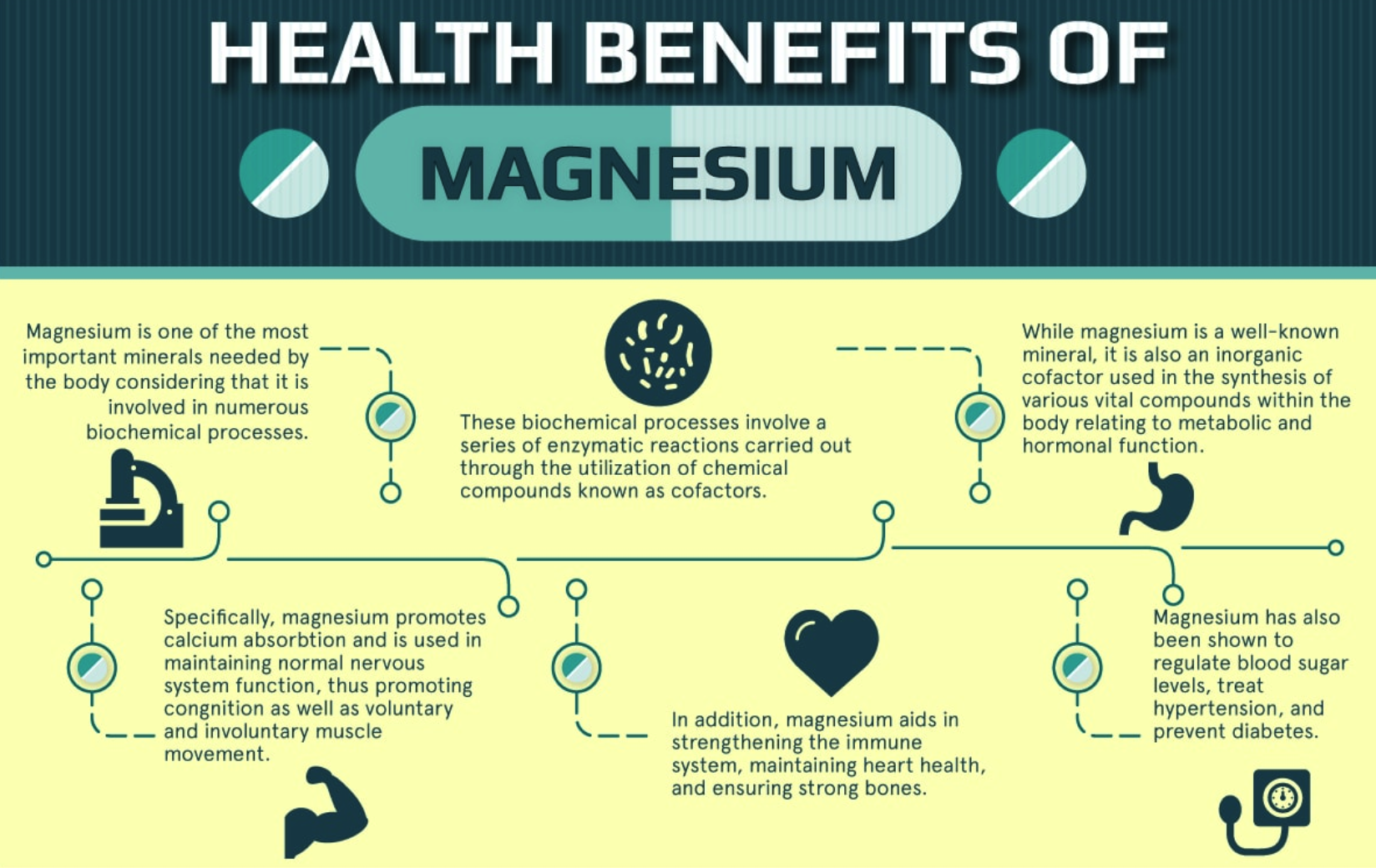 Health Magnesium Is Important For Vitamin D Synthesis Live Trading News