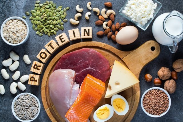 Eat More Protein When Dieting - Live Trading News